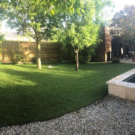 A Lombre Du Magnolia Apartment LʼIsle-sur-la-Sorgue Екстериор снимка