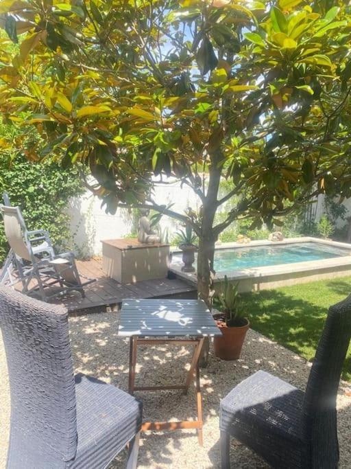 A Lombre Du Magnolia Apartment LʼIsle-sur-la-Sorgue Екстериор снимка