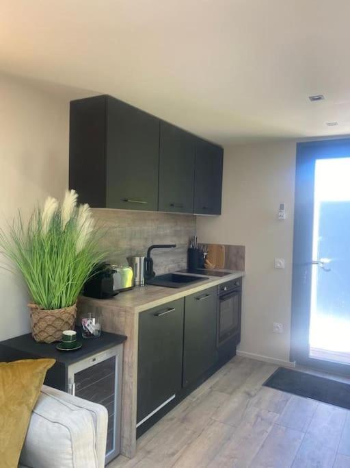 A Lombre Du Magnolia Apartment LʼIsle-sur-la-Sorgue Екстериор снимка